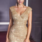 Sequin Fitted Evening Gown