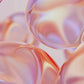 Organic Resveratrol Serum – Instant Firming Antioxidant Serum with CoQ10 for Wrinkles & Radiance