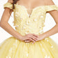 Embroidery Embellished Glitter-Mesh Cut-Away Shoulder Quinceanera Dress