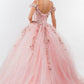 Embroidery Embellished Glitter Mesh Quinceanera Dress