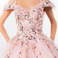 Embroidery Embellished Glitter Mesh Quinceanera Dress