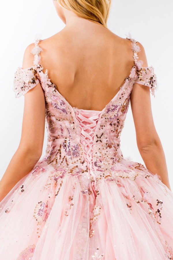Embroidery Embellished Glitter Mesh Quinceanera Dress