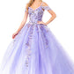 Embroidery Embellished Glitter Mesh Quinceanera Dress