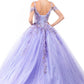 Embroidery Embellished Glitter Mesh Quinceanera Dress