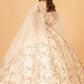 Cut-Away Shoulder Sweetheart Glitter Mesh Quinceanera Dress