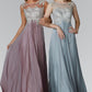 Chiffon Long Dress with Lace Embellished Bodice and Sheer Neckline