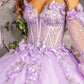 3-D Flower Jewel Sheer Bodice Mesh Ball Gown w/ Long Sleeves