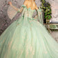 3-D Flower Jewel Sheer Bodice Mesh Ball Gown w/ Long Sleeves