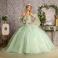 3-D Flower Jewel Sheer Bodice Mesh Ball Gown w/ Long Sleeves