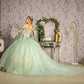 3-D Flower Jewel Sheer Bodice Mesh Ball Gown w/ Long Sleeves