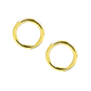 VIRTUOUS CIRCLE EARRINGS 2.8CM