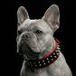 "Rocky" collar