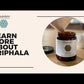 Triphala | Ayurvedic Superfruit Blend for Digestion, Detox & Daily Elimination