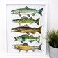 Fish Art Print- 11x14, Simple Outdoor Artwork, Animal Art, Fish Painting Print