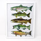 Fish Art Print- 11x14, Simple Outdoor Artwork, Animal Art, Fish Painting Print