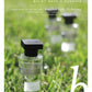 Balmy Days & Sundays Eau de Parfum