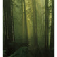 Idyllwild Eau de Parfum