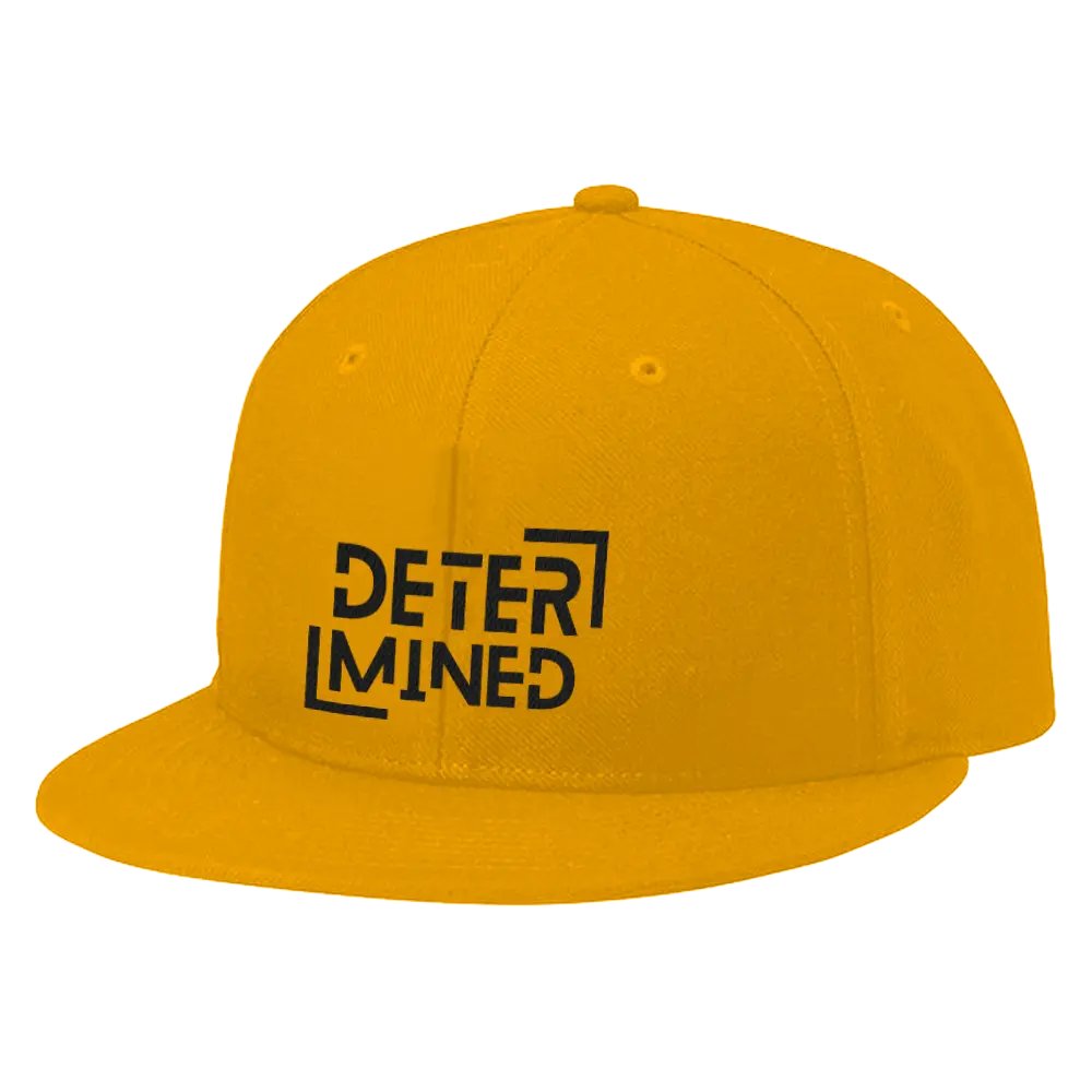 Determined Embroidered Hat