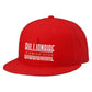 Billionaire Coming Soon Embroidered Hat
