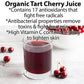 Organic Chocolate Cherry Face Mask – Antioxidant Anti-Aging Mask for Radiant, Youthful Skin