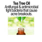 Organic Acne Serum – Oil Control & Pore Clearing Serum for Breakouts, Oily Skin & Blemishes