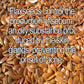 Organic Pumpkin Flaxseed Enzyme Face Mask – Brightening & Tightening Mask for Glowing Skin