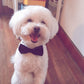 Pets Dog-Cat Bow Tie Adjustable