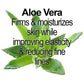 Organic Alpha Hydroxy Acid Face Mask – AHA Renewing Mask for Exfoliation, Glow & Anti-Aging