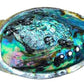 Abalone shell ash tray and combo