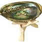Abalone shell ash tray and combo