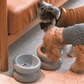 Soufflé Pet Bowl - Frozen Blue