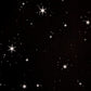 Starry Organic Pants