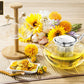 Thermo Glass Teapot 52 Fl Oz | High temperature and shock resistant